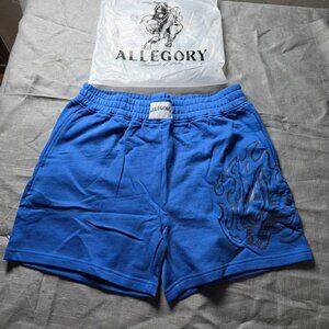 NWT Allegory Men's Shorts - XL